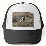 Black-Footed Ferret (captive) Mesh Hat