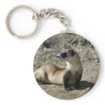 Black-Footed Ferret (captive) Key Chains