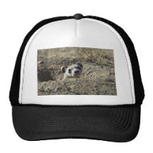 Black-Footed Ferret (captive) Mesh Hat