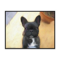 Black French Bulldog art postcard