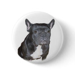 Black French Bulldog button