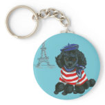 Black French Poodle Puppy Dog