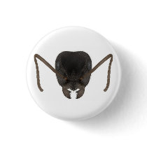 Black garden ant button