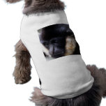 Black Gibbon Ape Face Closeup Pastel pet clothing