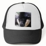Black Gibbon Ape Face Closeup Pastel hats