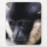 Black Gibbon Ape Face Closeup Pastel mousepads