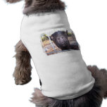 Black goat big yellow eyes nose first view pet tee shirt
