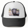 Black goat big yellow eyes nose first view hat