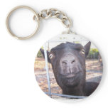 Black goat big yellow eyes nose first view key chains