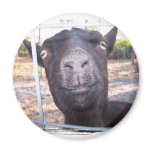 Black goat big yellow eyes nose first view refrigerator magnets