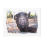 Black goat big yellow eyes nose first view post card