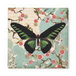 Black & Green Butterfly Magnets