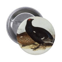 Black Grouse Pins