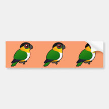 Black-headed Parrot Bumper Sticker