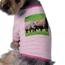 Black Headed Sheep Pet Clothing