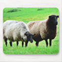 Black Headed Sheep mousepads