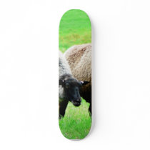 Black Headed Sheep Custom Skate Board