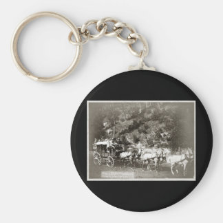 coach classic key
