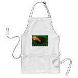Black hole aprons