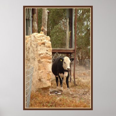 black holstein cow print with border by FamilyNature