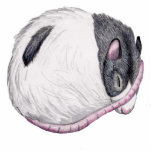 black hooded rat sleeping very large sculpture photo sculptures