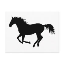 Black horse 1 post card