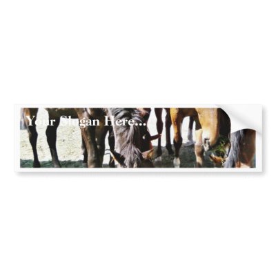 Black Horse Bumper Sticker by lifesphere