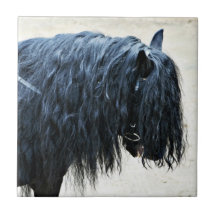 Black Horse Head Ceramic Tiles