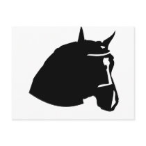 black horse head postcards
