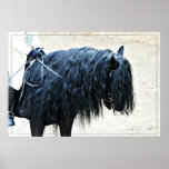 Black Horse Head posters