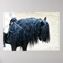 Black Horse Head Print