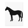 black horse - horses post card