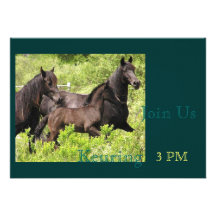 Black Horse Invites customisable