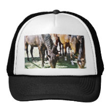 Black Horse Mesh Hats