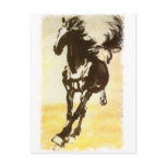 Black Horse Post Card