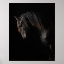 Black Horse Print