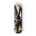 Black Horse skateboards