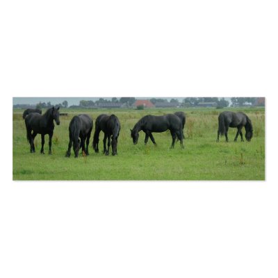 Black Horses in Meadow Photo Bookmarks Cards by hollandshop