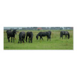 Black Horses in Meadow Photo Bookmarks Cards business cards