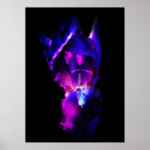 Black Iris Posters