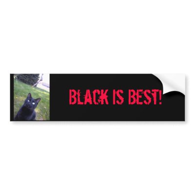 Black Is Best! Bumper Sticker by nancygray14