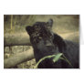 Black_jaguar art cards