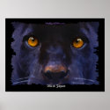 BLACK JAGUAR ~ BLACK PANTHER larger Art Print