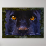 BLACK JAGUAR ~ BLACK PANTHER larger Art Print