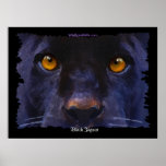 BLACK JAGUAR ~ BLACK PANTHER larger Art Print