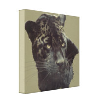 Black Jaguar Gallery Wrap Canvas