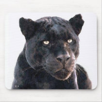 Black Jaguar Mousepads