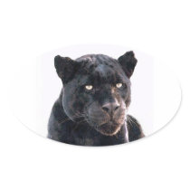 Black Jaguar Oval Stickers