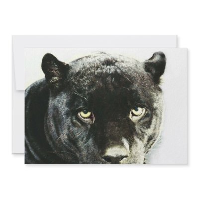 Black Jaguar Panther Eyes Invitation by made_in_atlantis