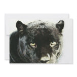 Black Jaguar Panther Eyes Invitation